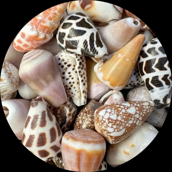 coastalcreature